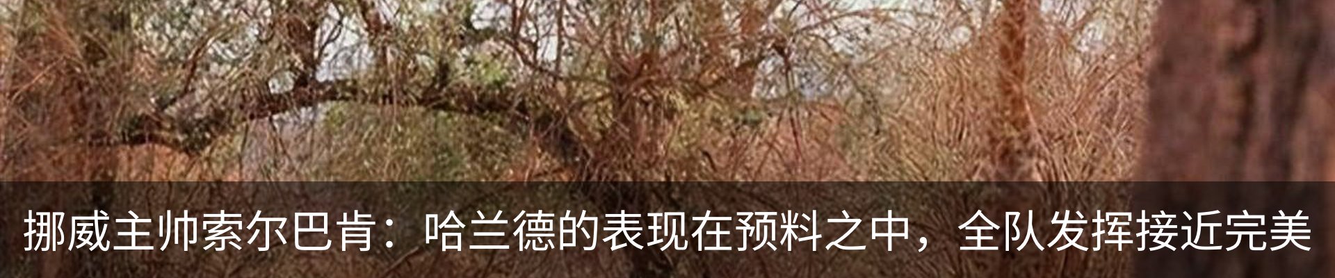 资讯中心
