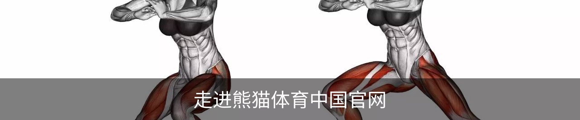 走进熊猫体育中国官网